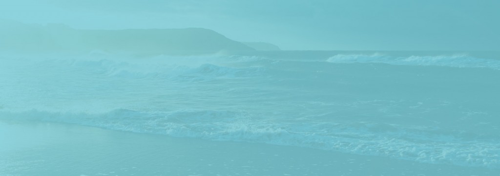 APC Dynamics | Dynamics 365 Business Central Consultant