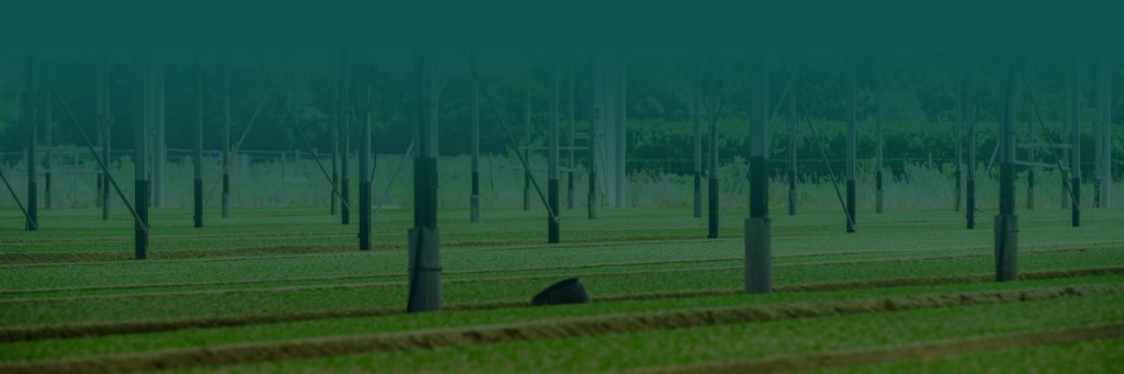 APC Dynamics | Dynamics 365 Business Central Consultant